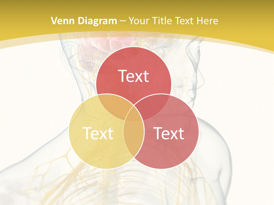 Brain Pain Biology PowerPoint Template