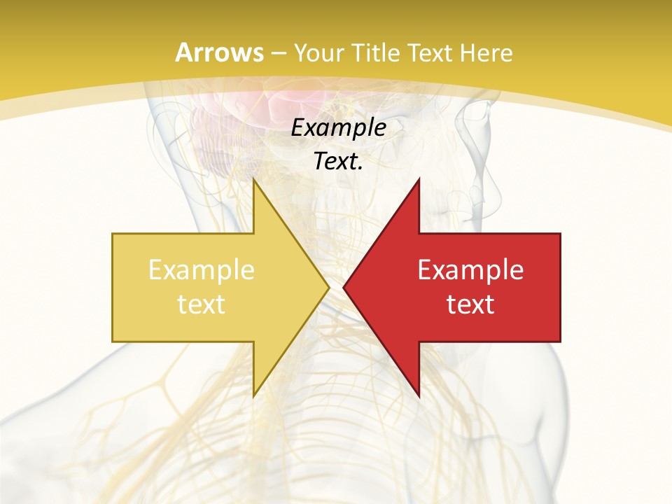 Brain Pain Biology PowerPoint Template