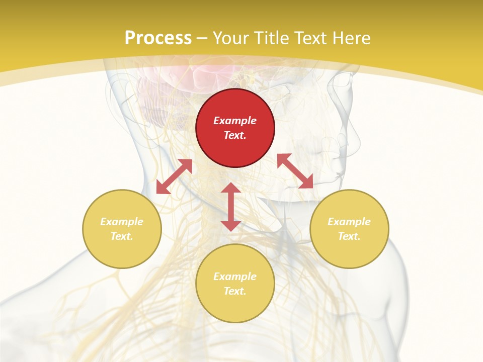 Brain Pain Biology PowerPoint Template