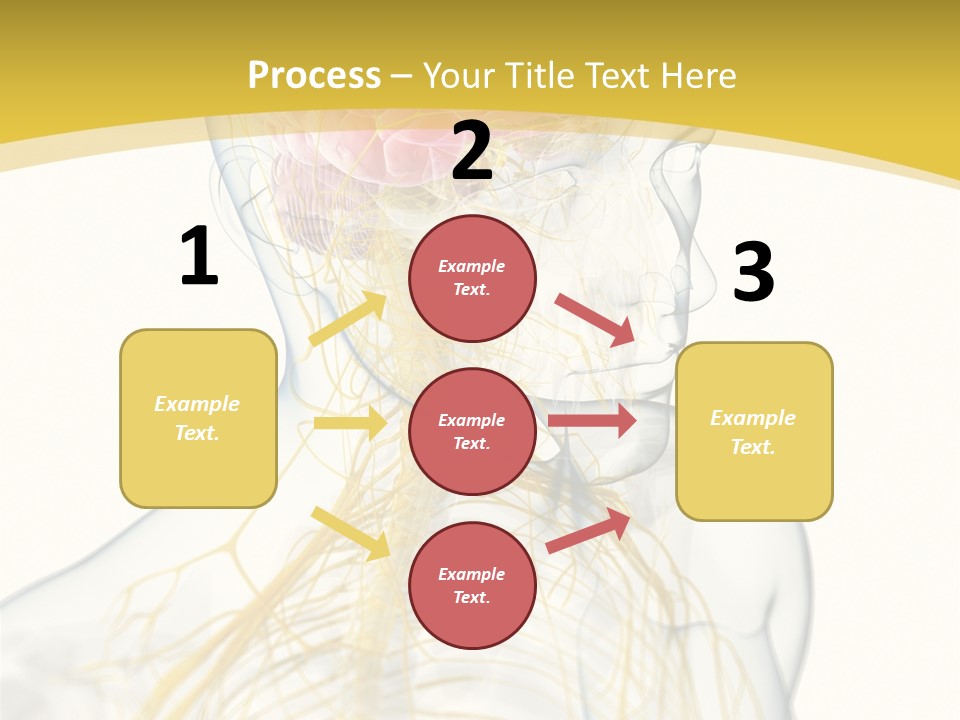 Brain Pain Biology PowerPoint Template