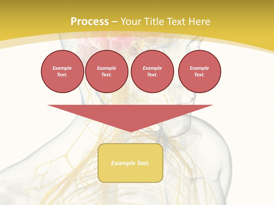 Brain Pain Biology PowerPoint Template