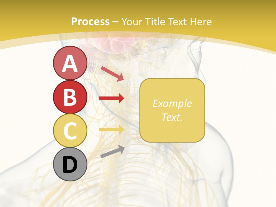 Brain Pain Biology PowerPoint Template