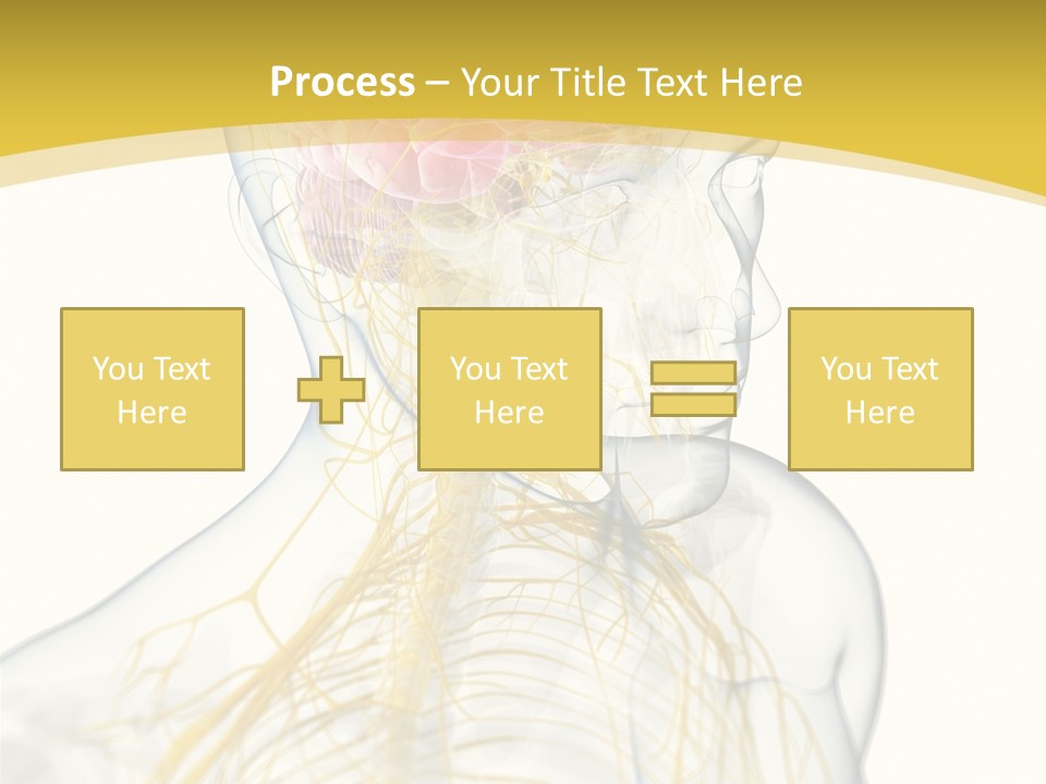 Brain Pain Biology PowerPoint Template