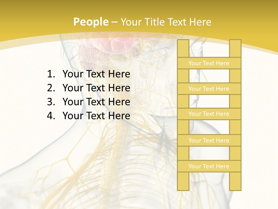 Brain Pain Biology PowerPoint Template