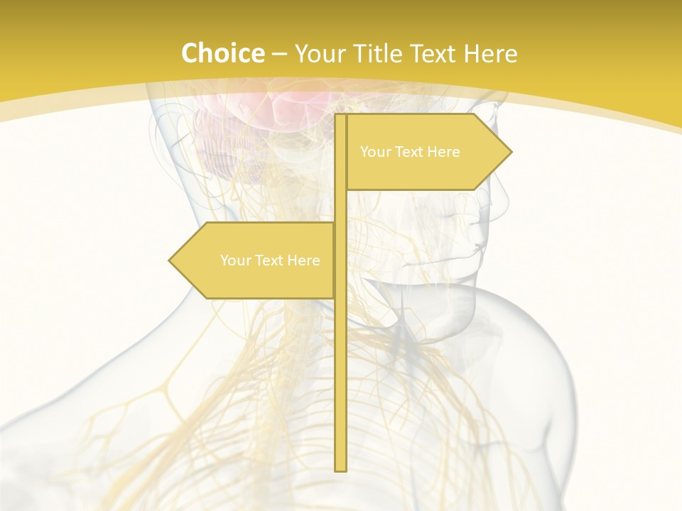Brain Pain Biology PowerPoint Template