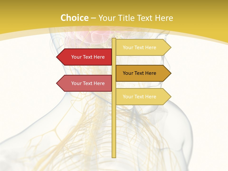 Brain Pain Biology PowerPoint Template