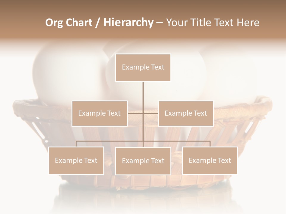 Chicken Yolk Cholesterol PowerPoint Template