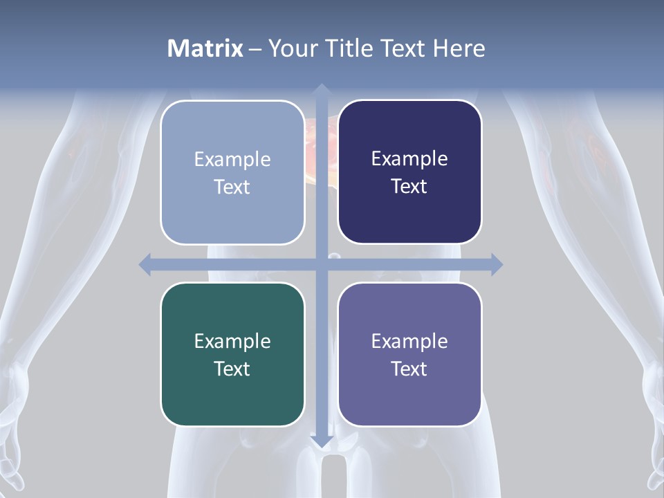 Xray Tomography Cirrhosis PowerPoint Template