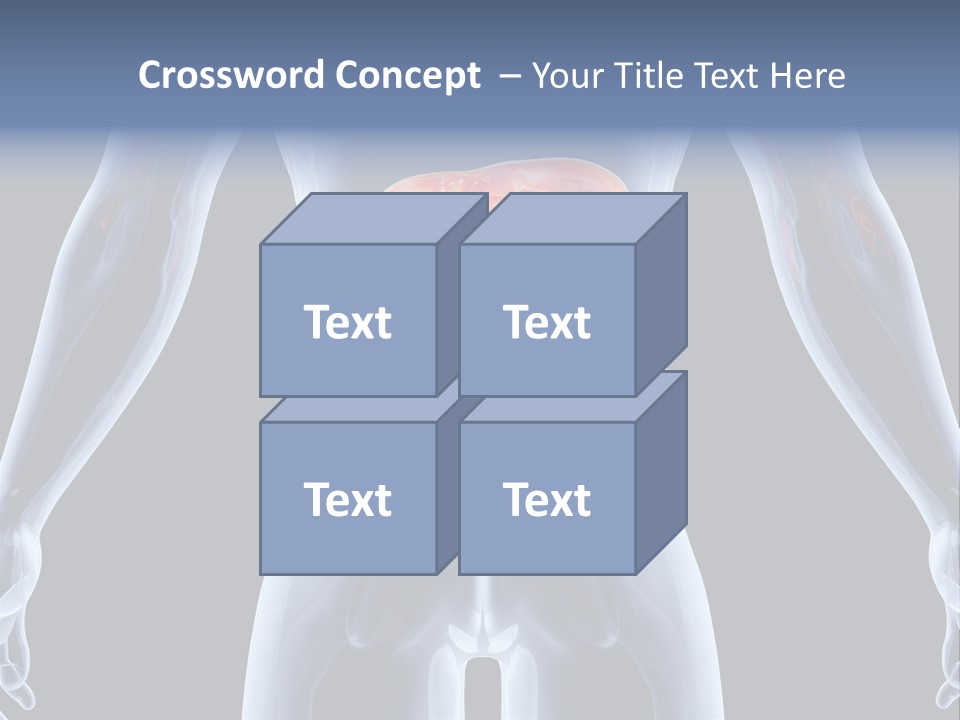 Xray Tomography Cirrhosis PowerPoint Template