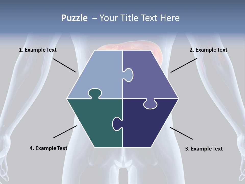 Xray Tomography Cirrhosis PowerPoint Template
