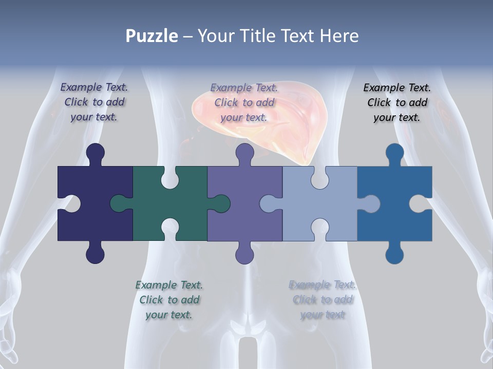 Xray Tomography Cirrhosis PowerPoint Template