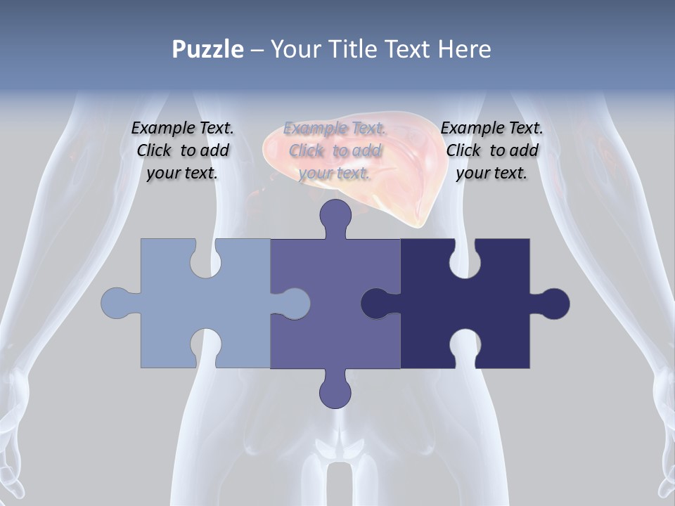 Xray Tomography Cirrhosis PowerPoint Template