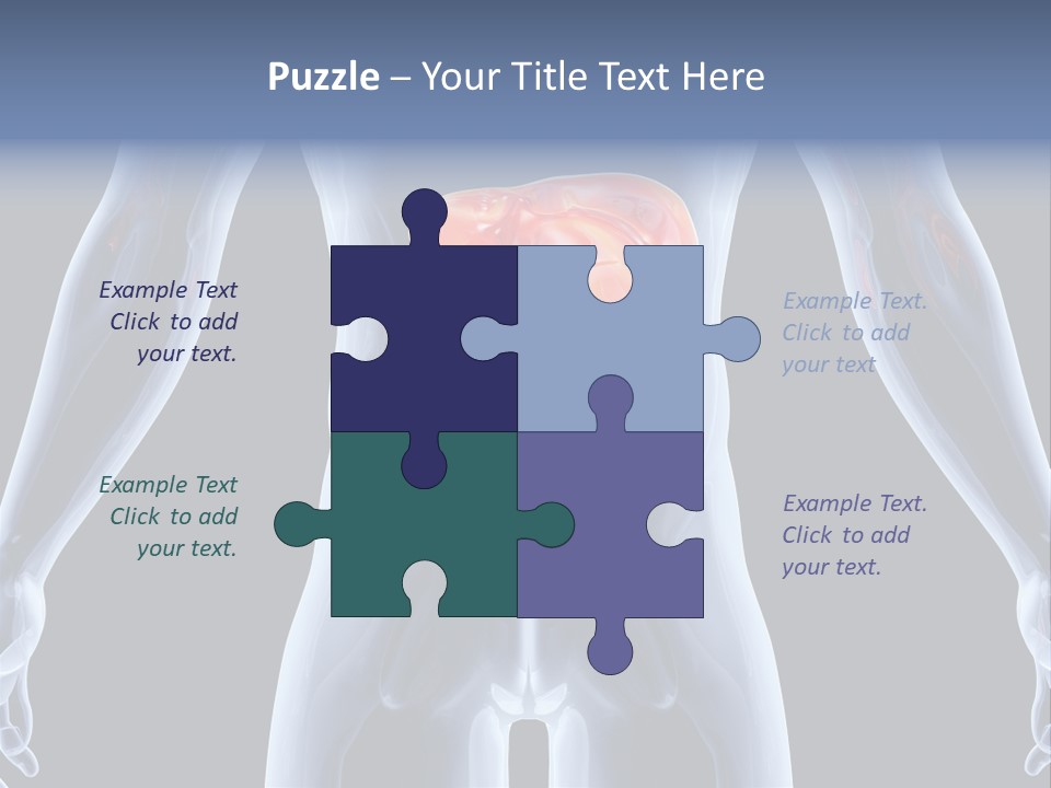 Xray Tomography Cirrhosis PowerPoint Template