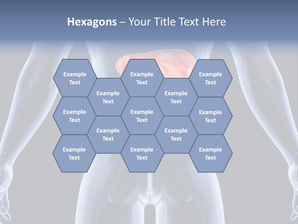 Xray Tomography Cirrhosis PowerPoint Template