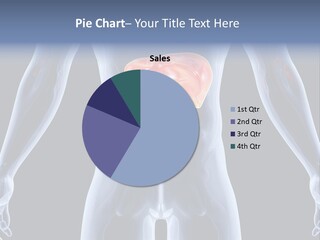 Xray Tomography Cirrhosis PowerPoint Template