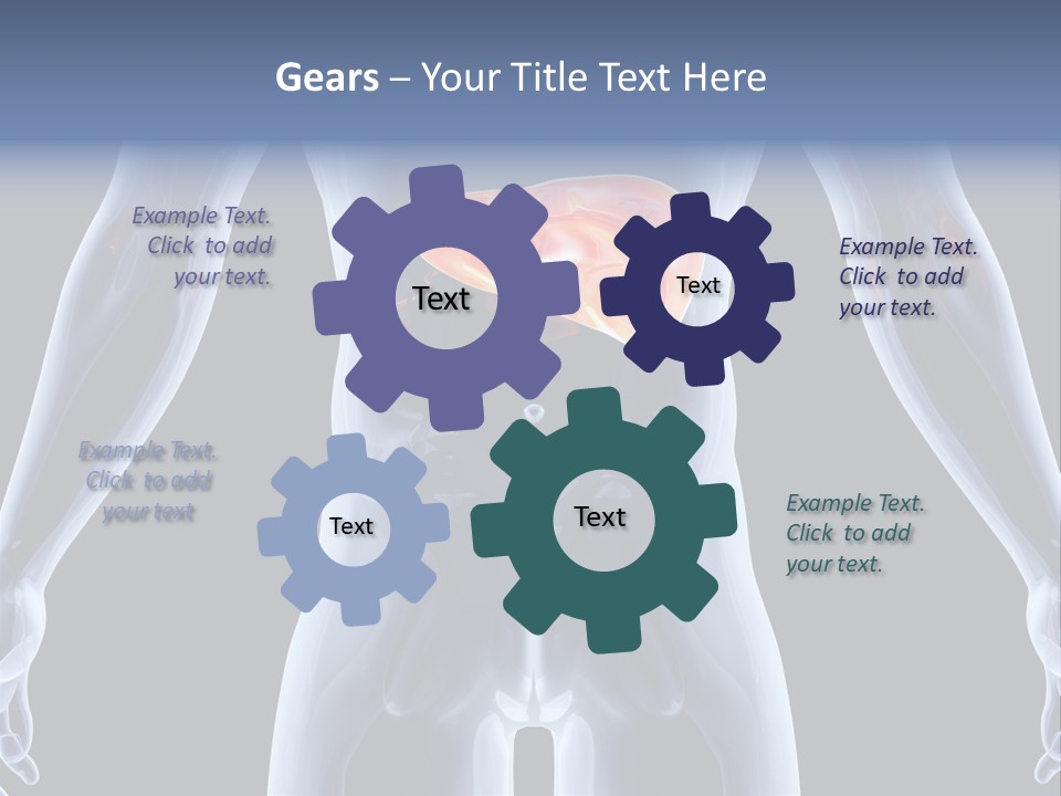 Xray Tomography Cirrhosis PowerPoint Template