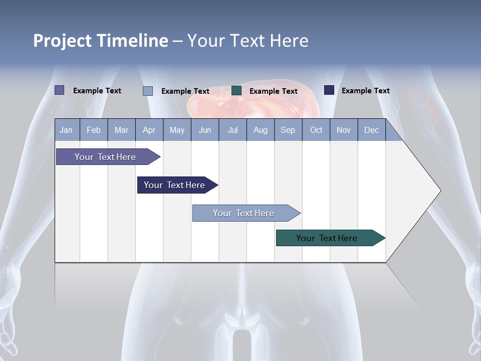 Xray Tomography Cirrhosis PowerPoint Template