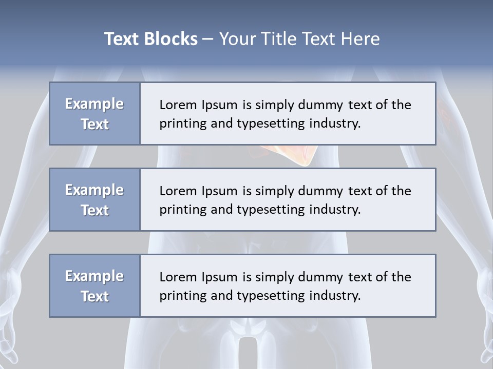 Xray Tomography Cirrhosis PowerPoint Template