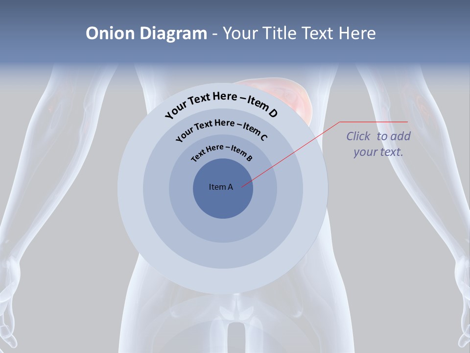 Xray Tomography Cirrhosis PowerPoint Template
