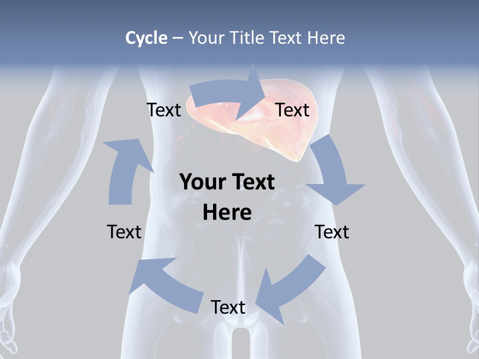 Xray Tomography Cirrhosis PowerPoint Template