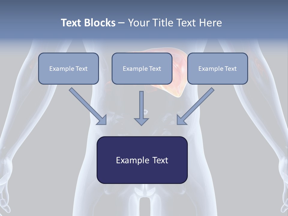 Xray Tomography Cirrhosis PowerPoint Template