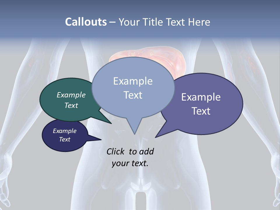 Xray Tomography Cirrhosis PowerPoint Template