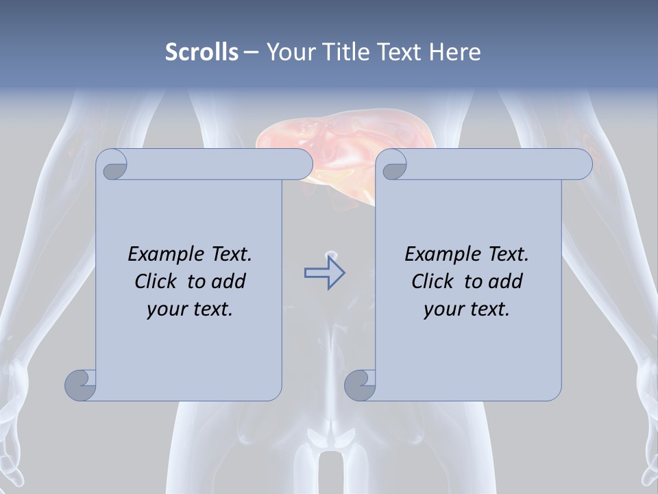 Xray Tomography Cirrhosis PowerPoint Template