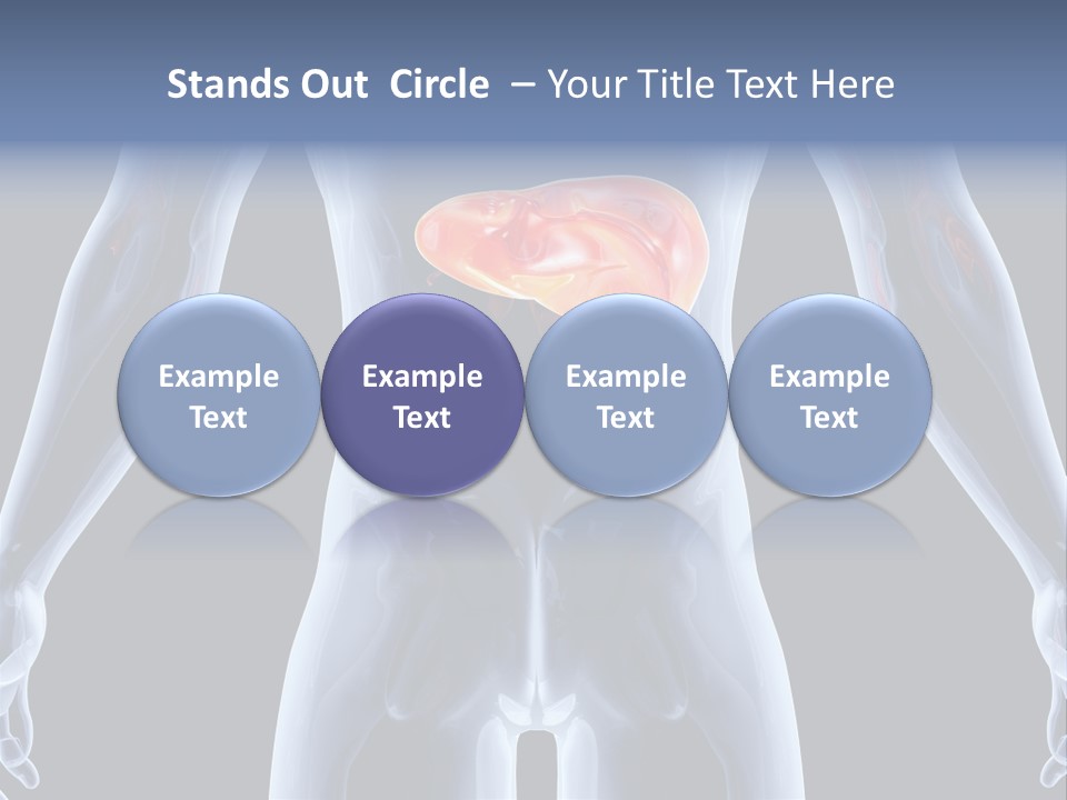 Xray Tomography Cirrhosis PowerPoint Template