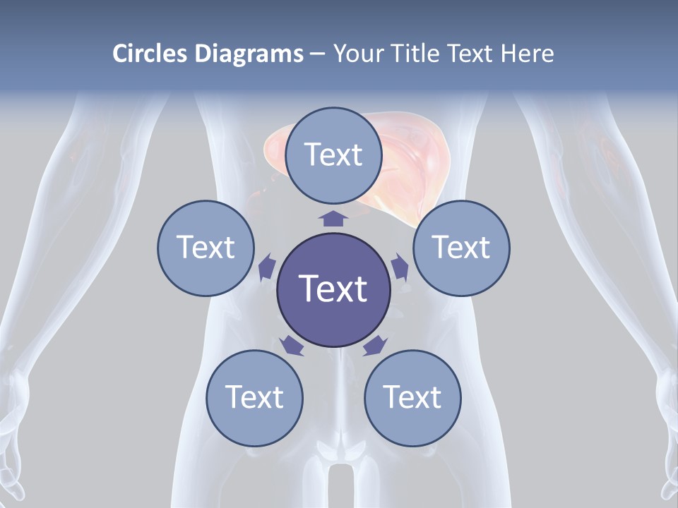 Xray Tomography Cirrhosis PowerPoint Template