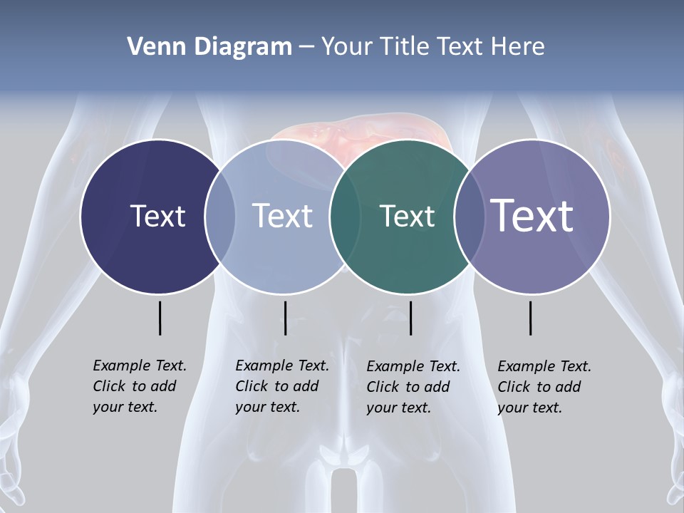 Xray Tomography Cirrhosis PowerPoint Template