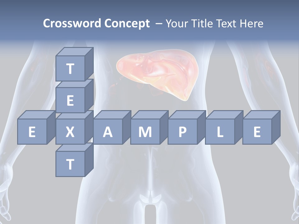 Xray Tomography Cirrhosis PowerPoint Template