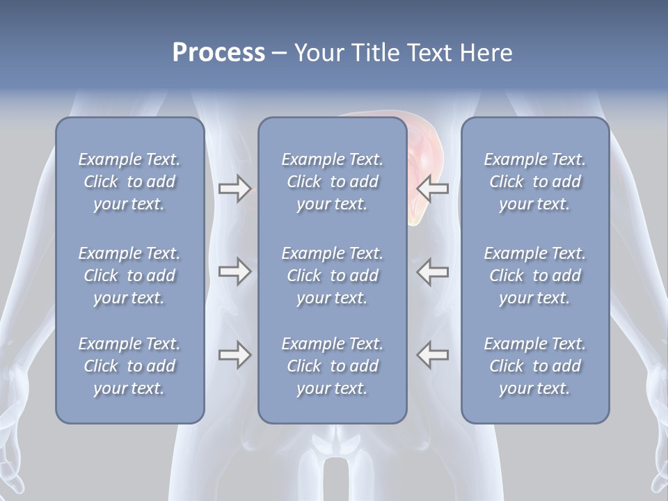 Xray Tomography Cirrhosis PowerPoint Template