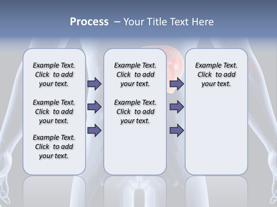 Xray Tomography Cirrhosis PowerPoint Template