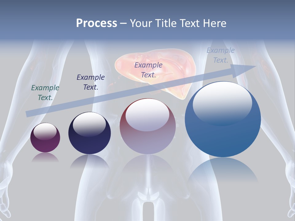 Xray Tomography Cirrhosis PowerPoint Template