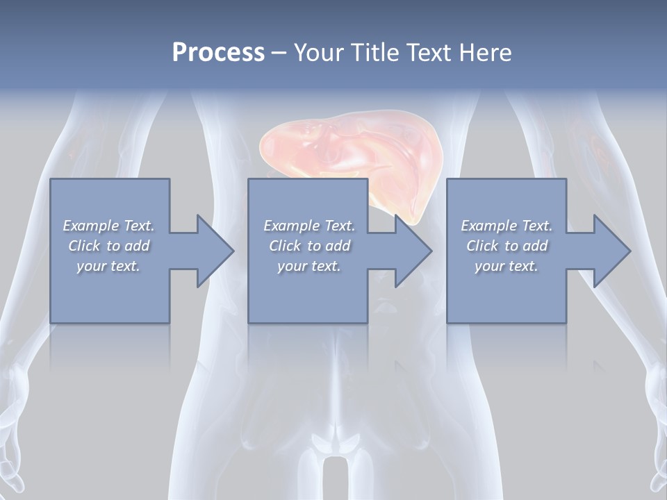 Xray Tomography Cirrhosis PowerPoint Template