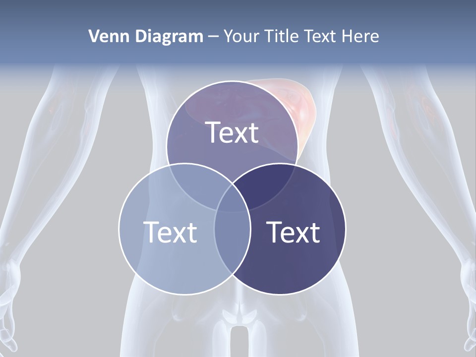 Xray Tomography Cirrhosis PowerPoint Template