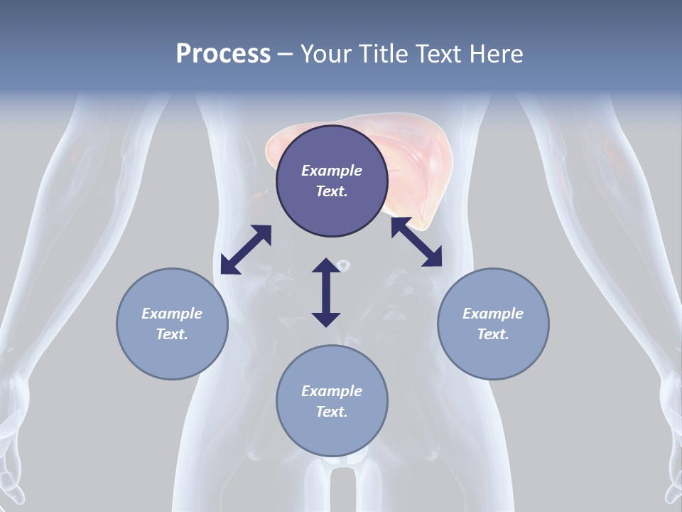 Xray Tomography Cirrhosis PowerPoint Template