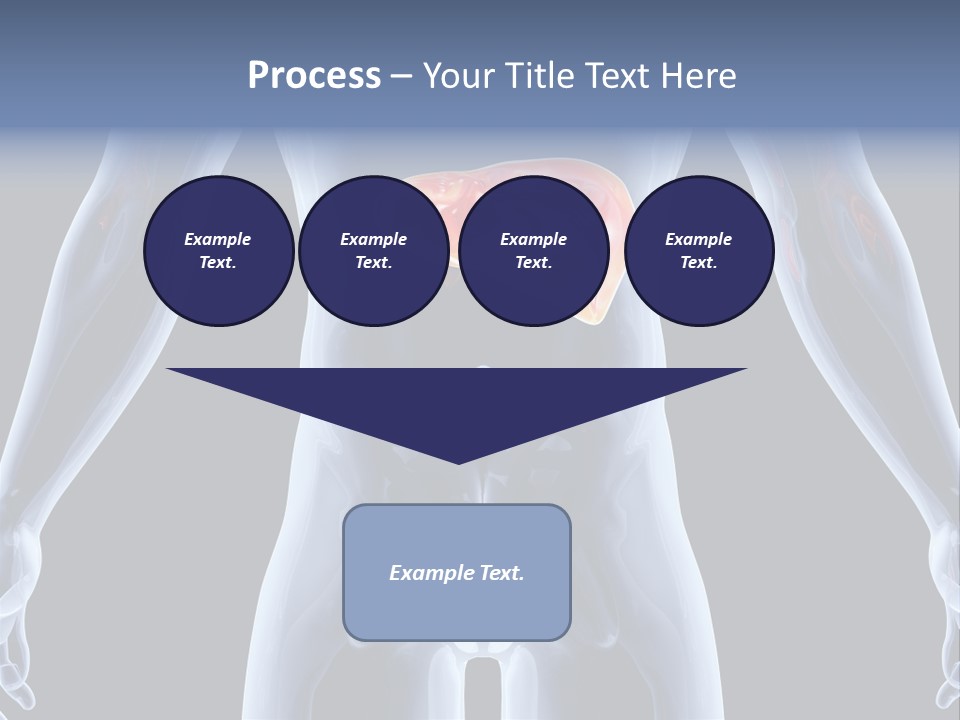 Xray Tomography Cirrhosis PowerPoint Template