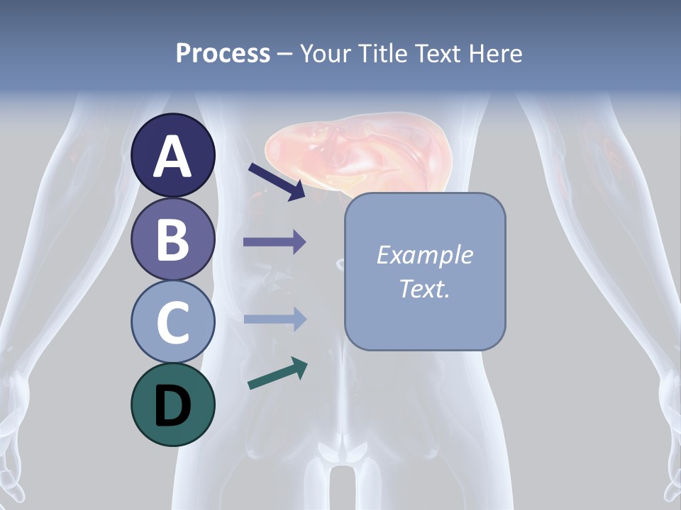 Xray Tomography Cirrhosis PowerPoint Template
