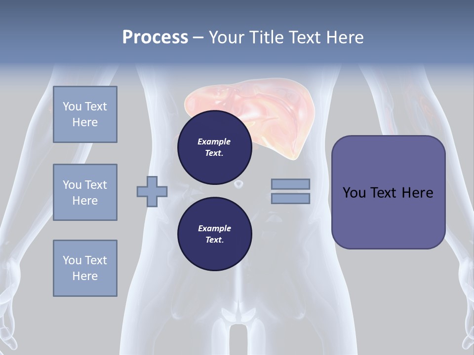 Xray Tomography Cirrhosis PowerPoint Template