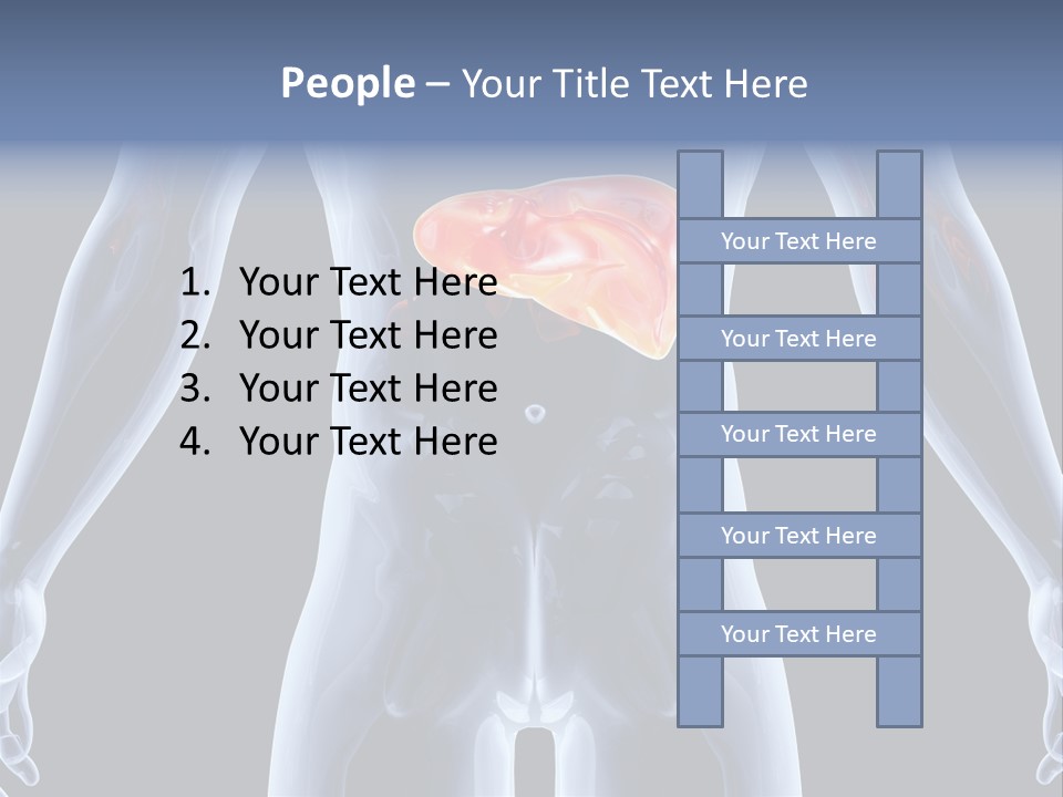 Xray Tomography Cirrhosis PowerPoint Template