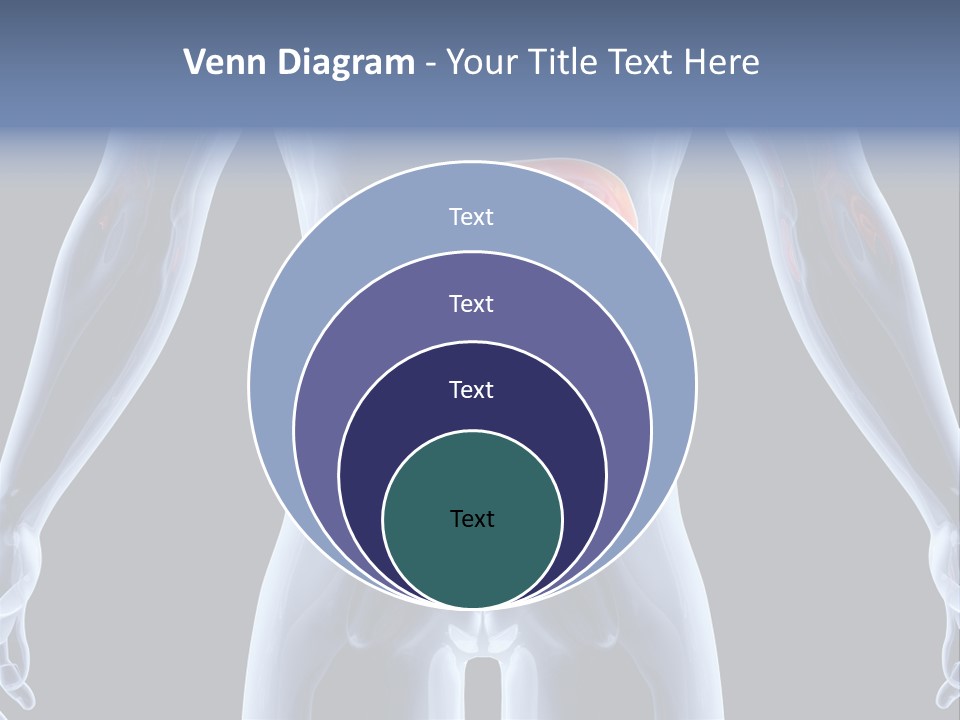 Xray Tomography Cirrhosis PowerPoint Template