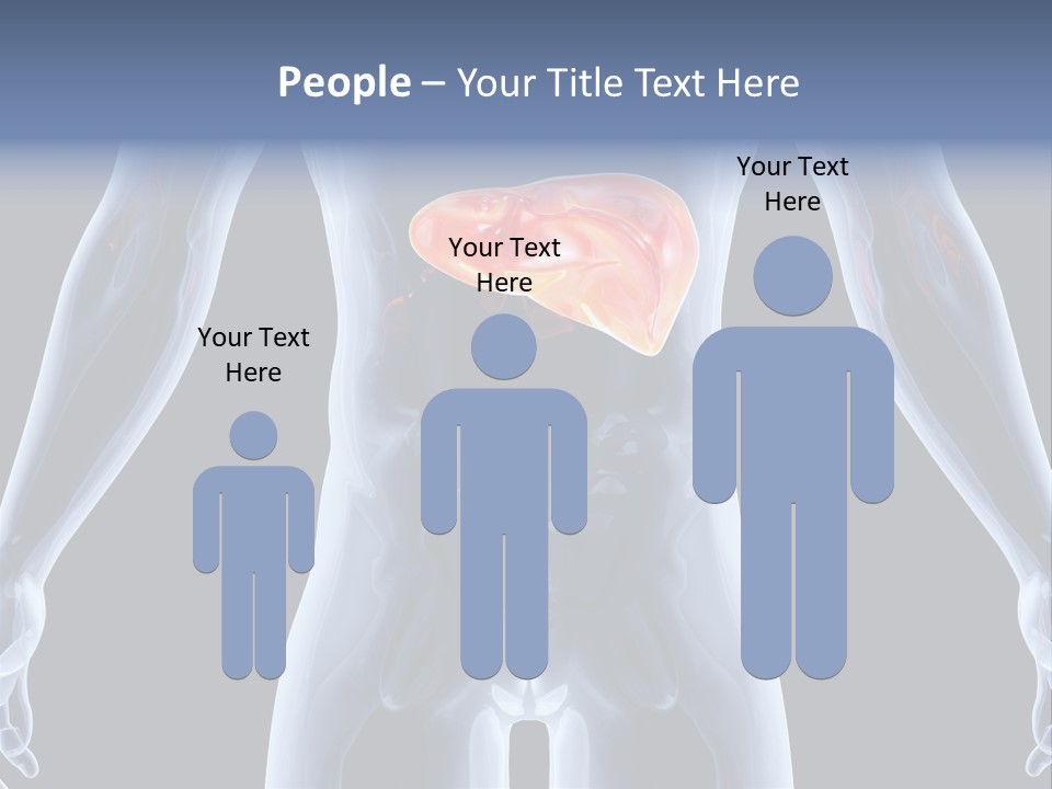 Xray Tomography Cirrhosis PowerPoint Template