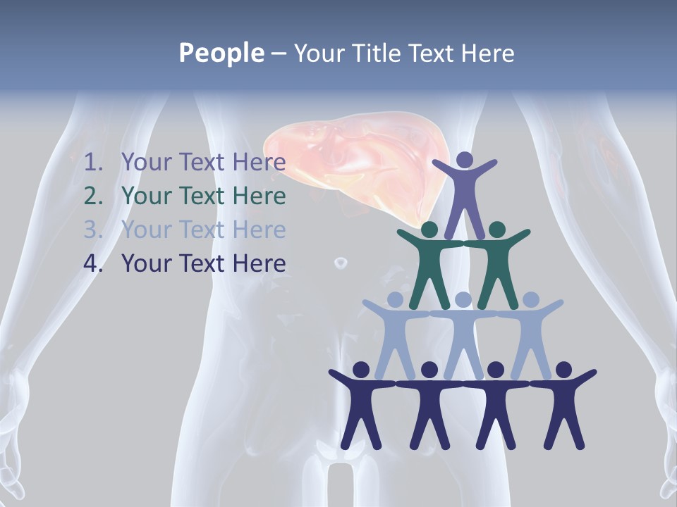Xray Tomography Cirrhosis PowerPoint Template