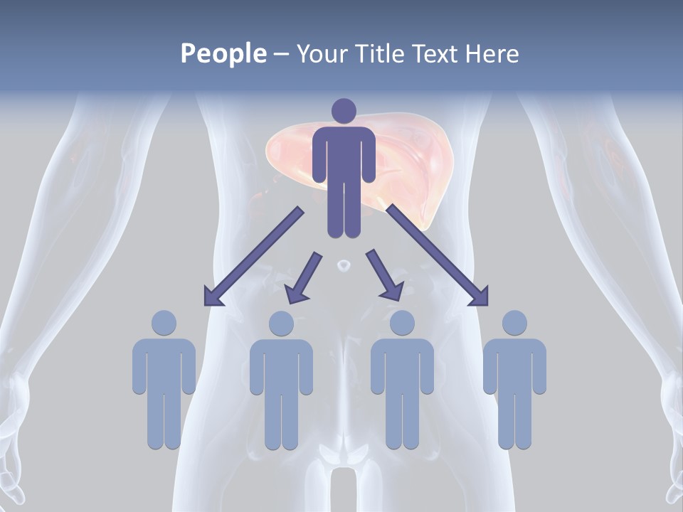 Xray Tomography Cirrhosis PowerPoint Template