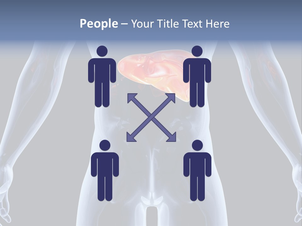 Xray Tomography Cirrhosis PowerPoint Template