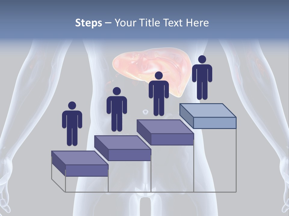 Xray Tomography Cirrhosis PowerPoint Template