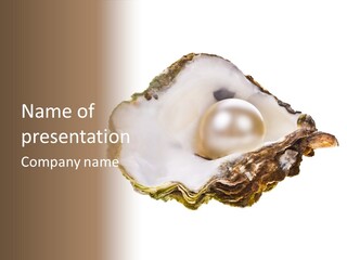 Cultivation Of Pearls Object Shellfish PowerPoint Template