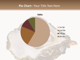 Cultivation Of Pearls Object Shellfish PowerPoint Template