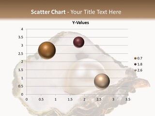 Cultivation Of Pearls Object Shellfish PowerPoint Template